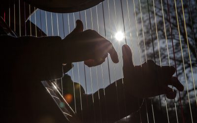DMC to Support Welsh Music Day!